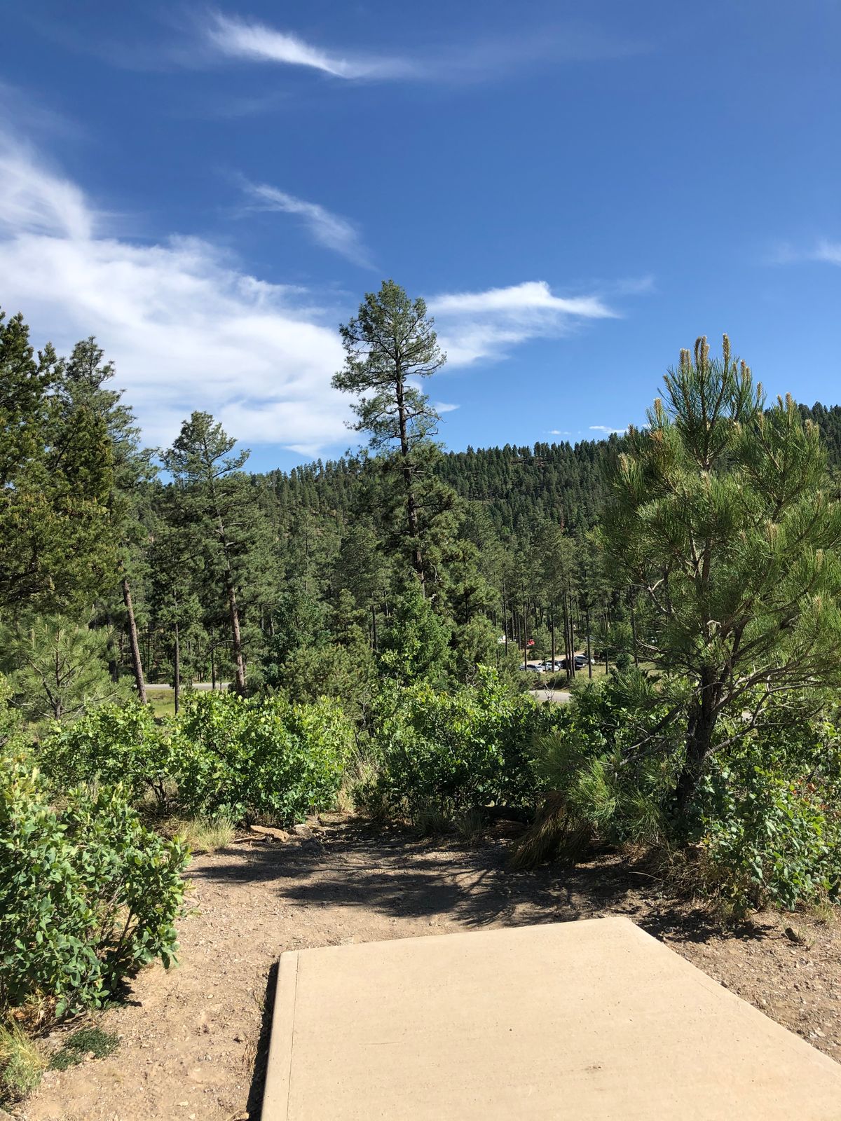 Hole #18