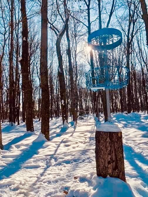 #13 Circle - Elevated Basket - Wintertime