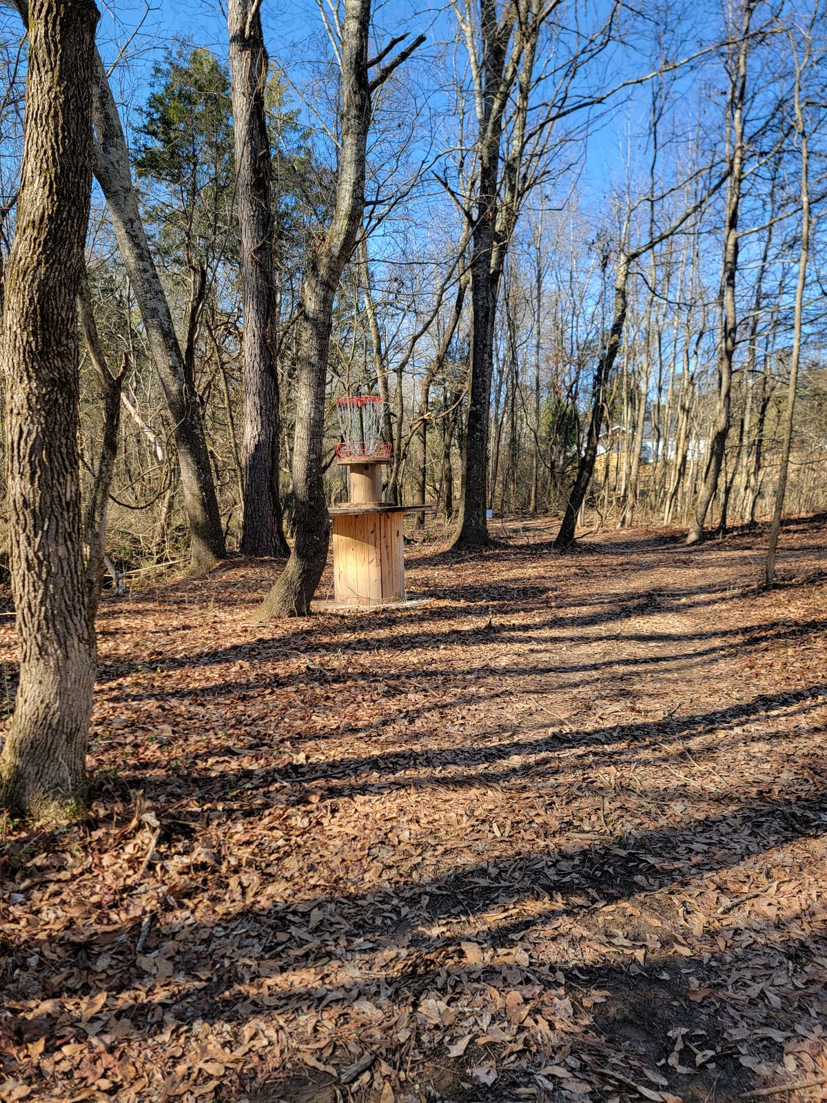 Hole 8 green