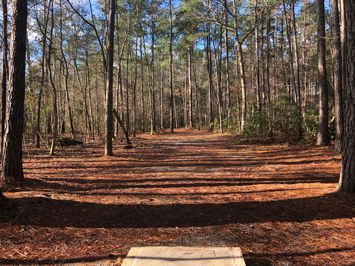 hole 4