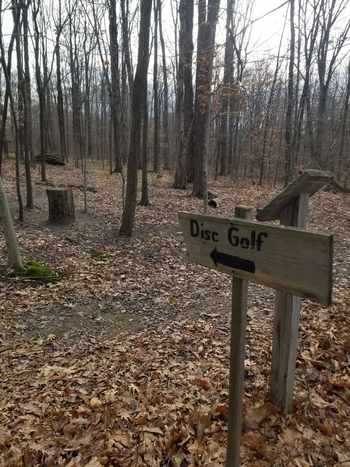 FROLF!