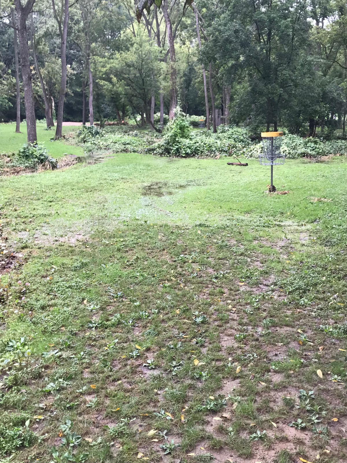 10 long after the morning rain on 9/5/21.  Holes 10-14 are very muddy.