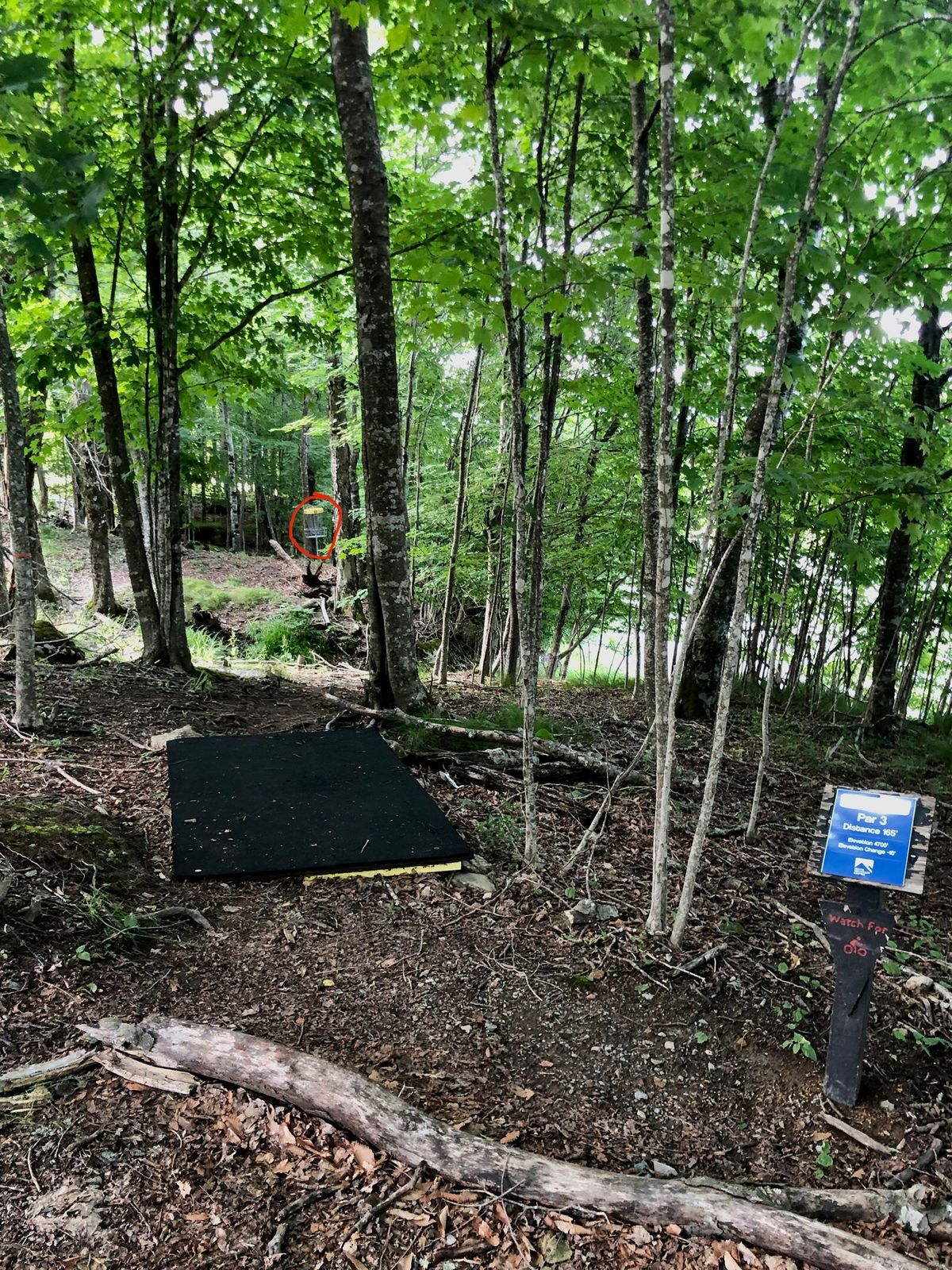 Hole 12