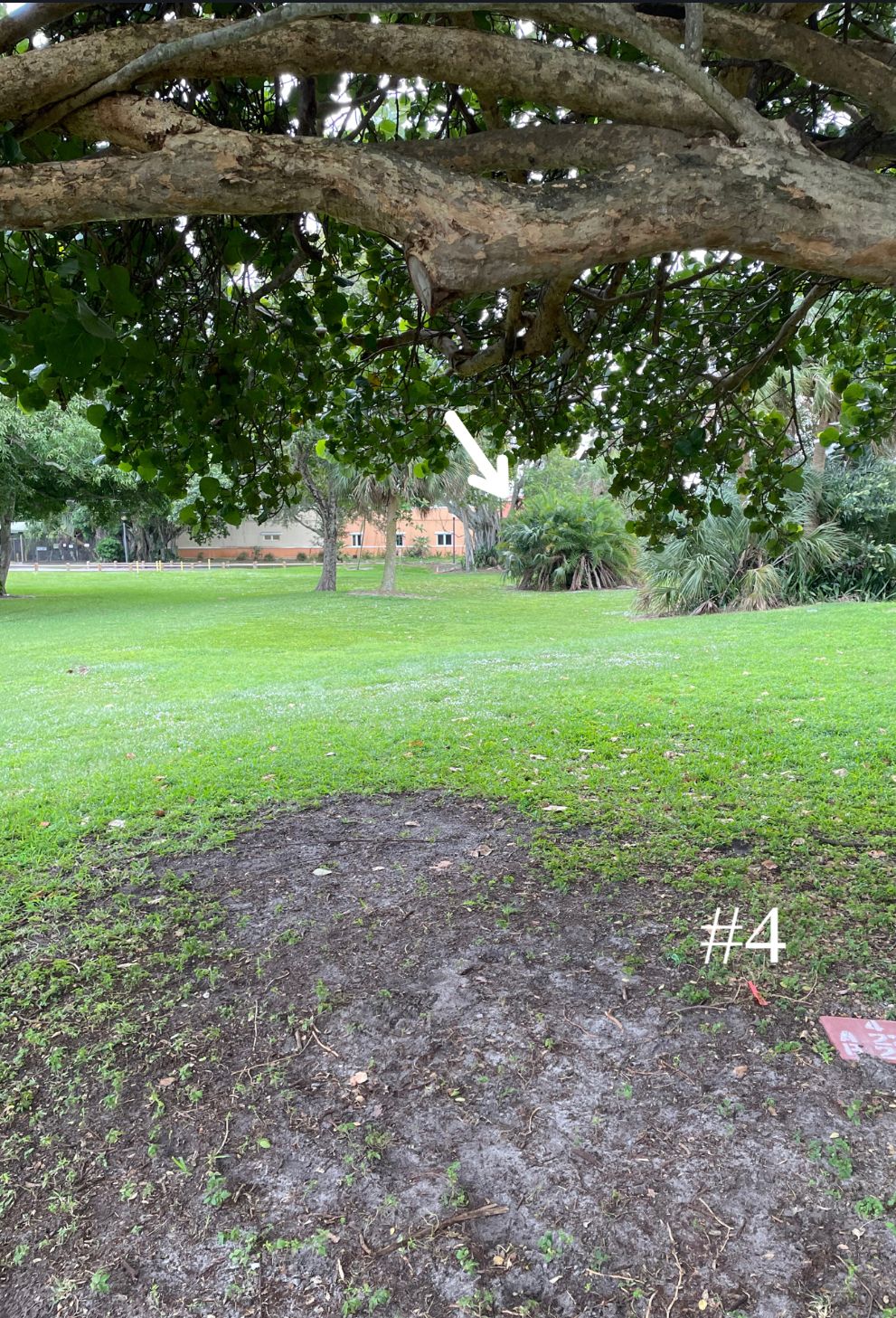 Hole 4, Short Tee