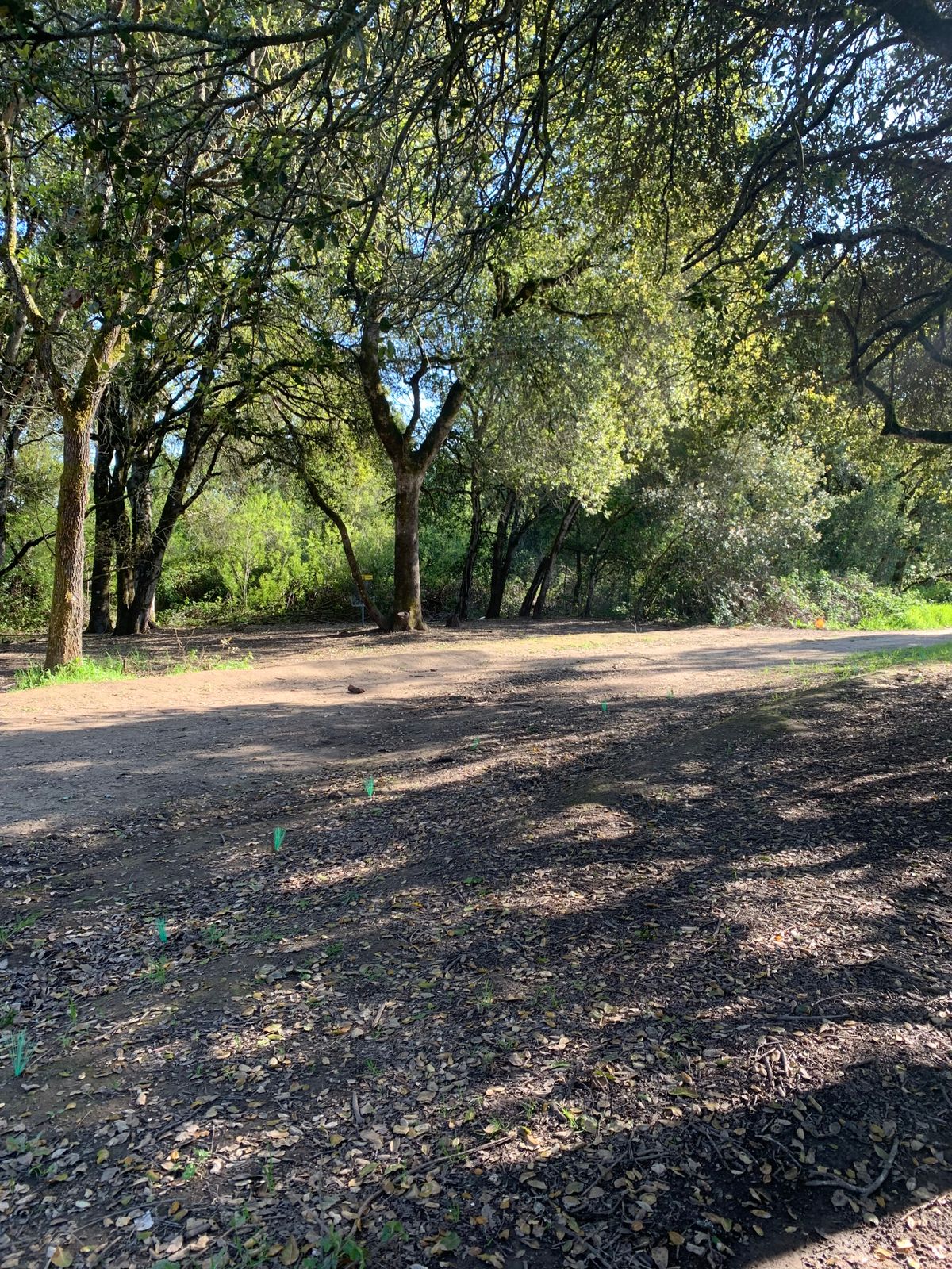 Hole 16