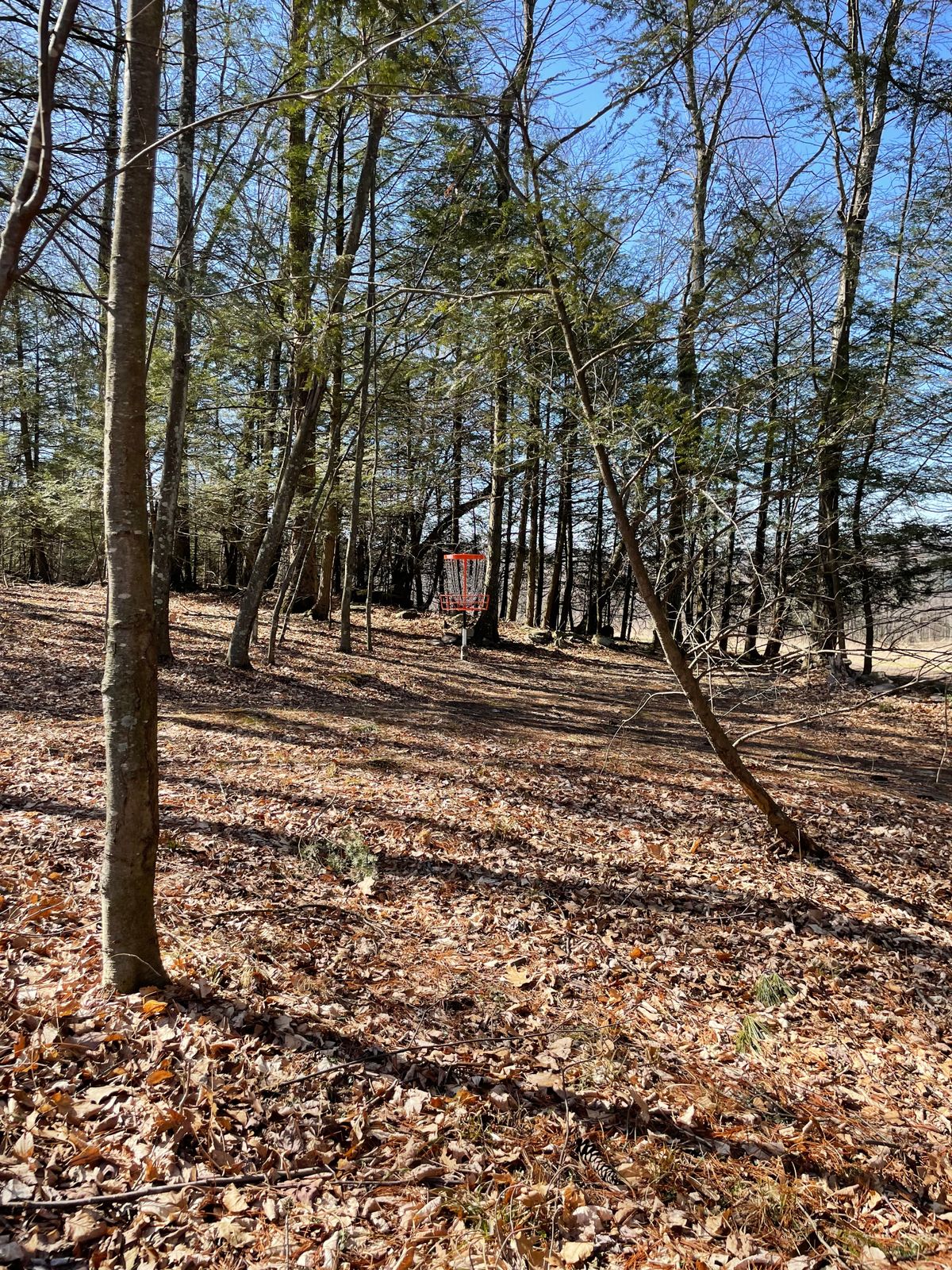 Hole 15