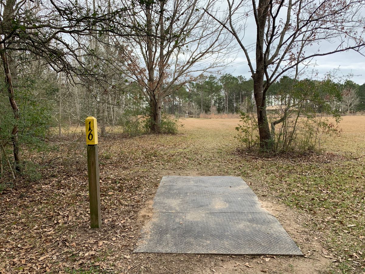 Hole 16 Fairway