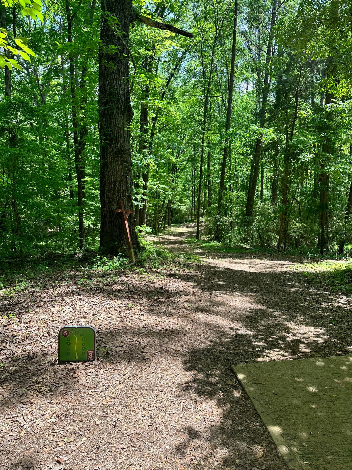Hole 5