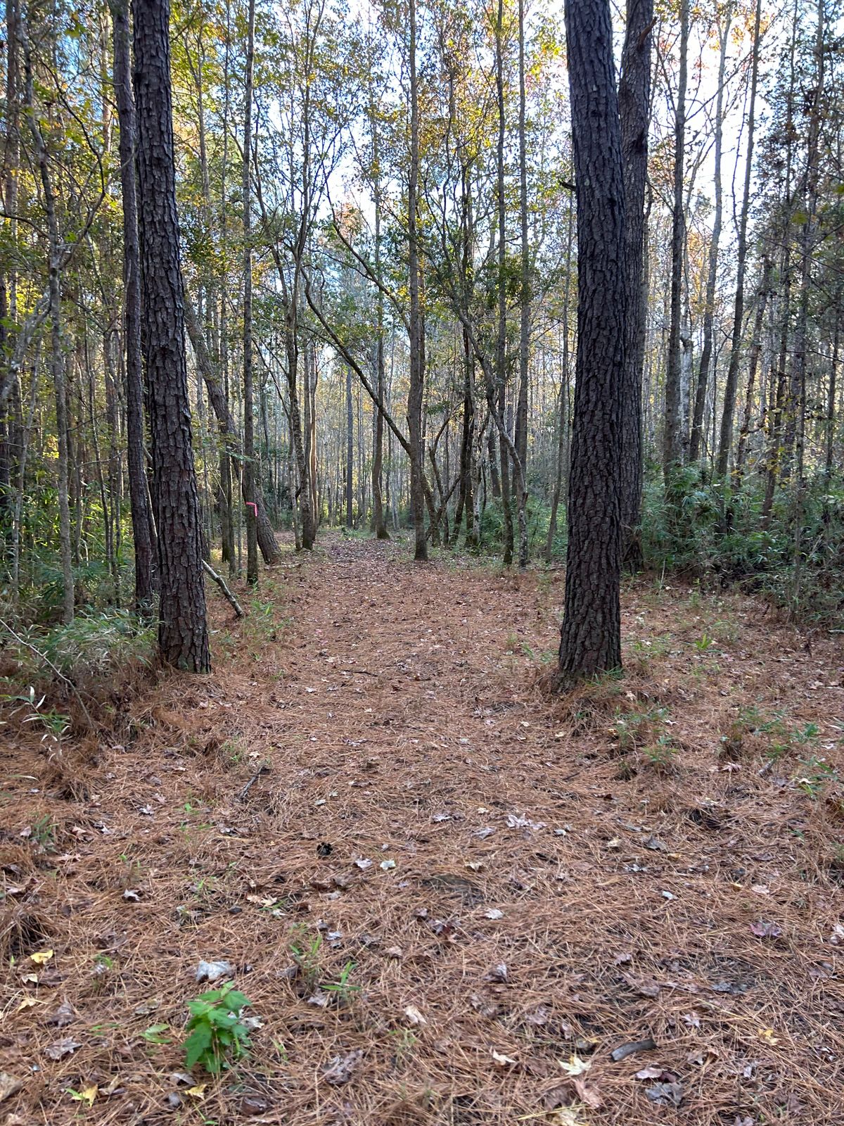 Hole 11