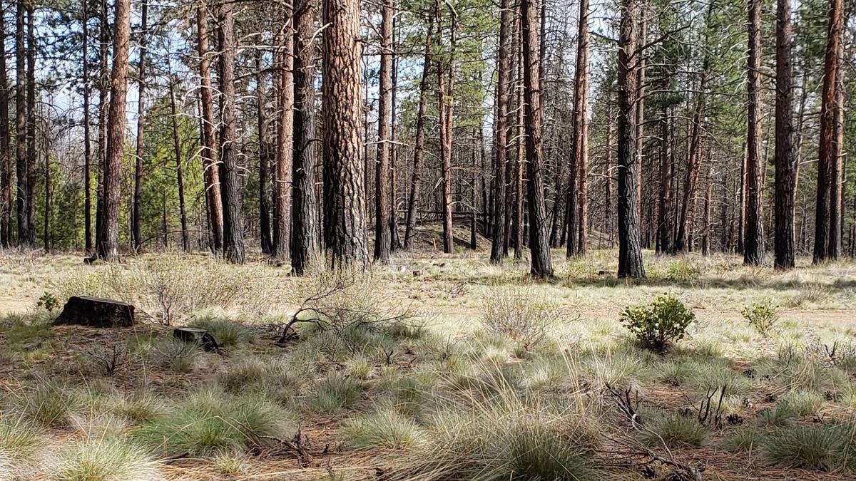 A few of hole 12, close to the parking area.
