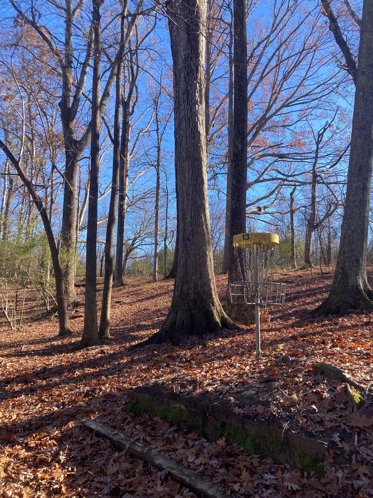 Hole 3 Green