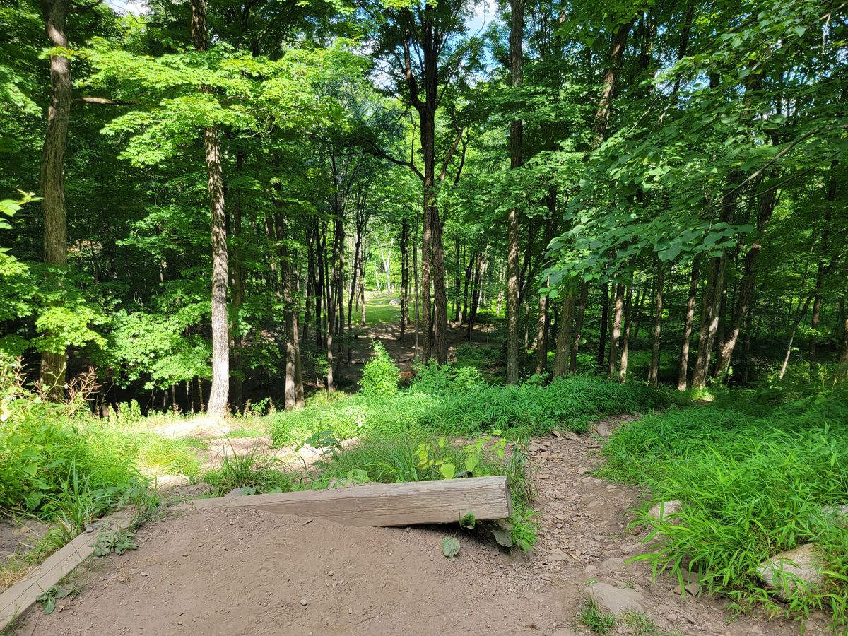 Hole 17 Green