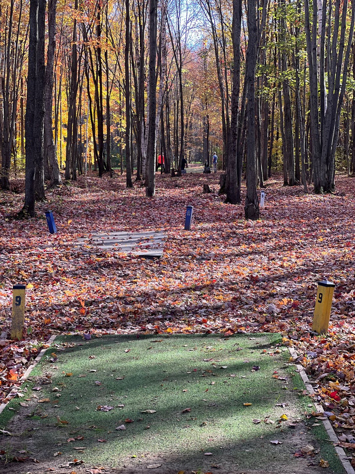 Hole 9 Golds
