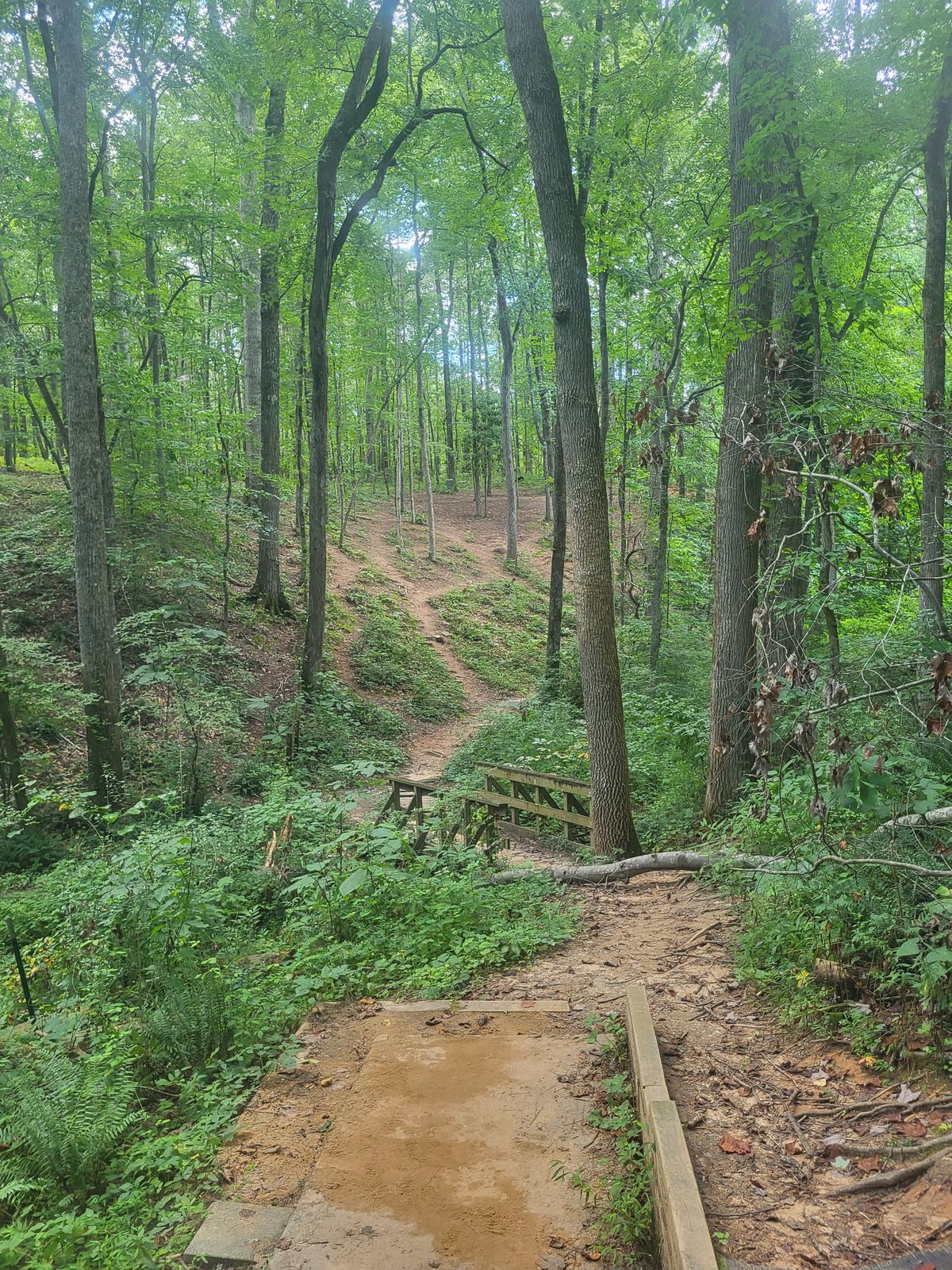 Basket #2 is up that hill. Pic taken at tee