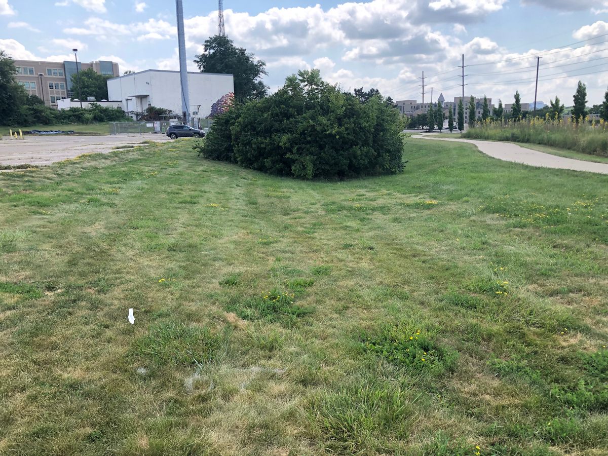 Hole 6 tee
