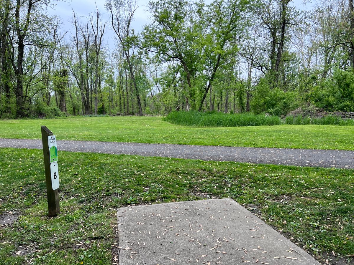 Tee 8 with basket on right past clump of trees