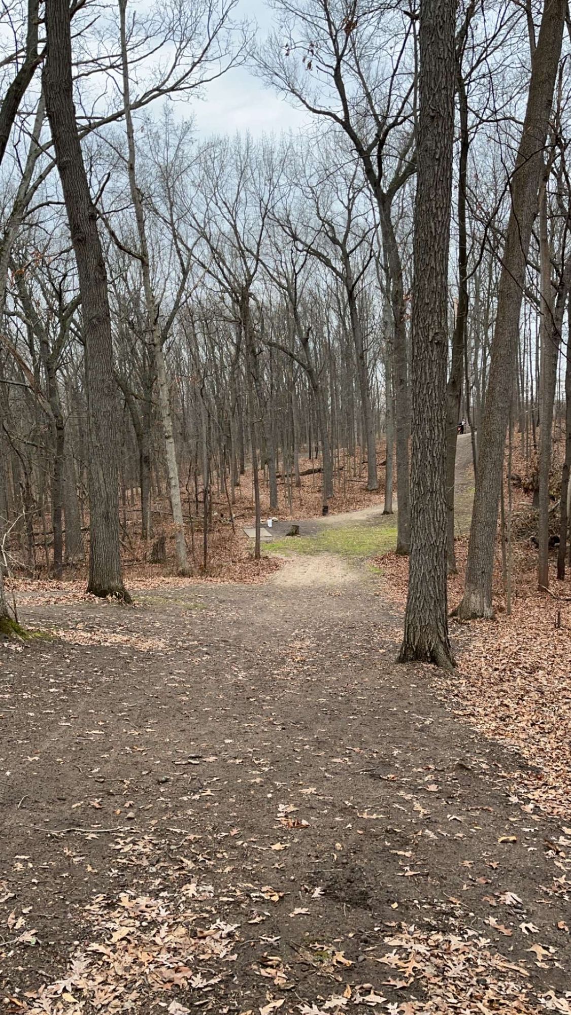 Hole 11