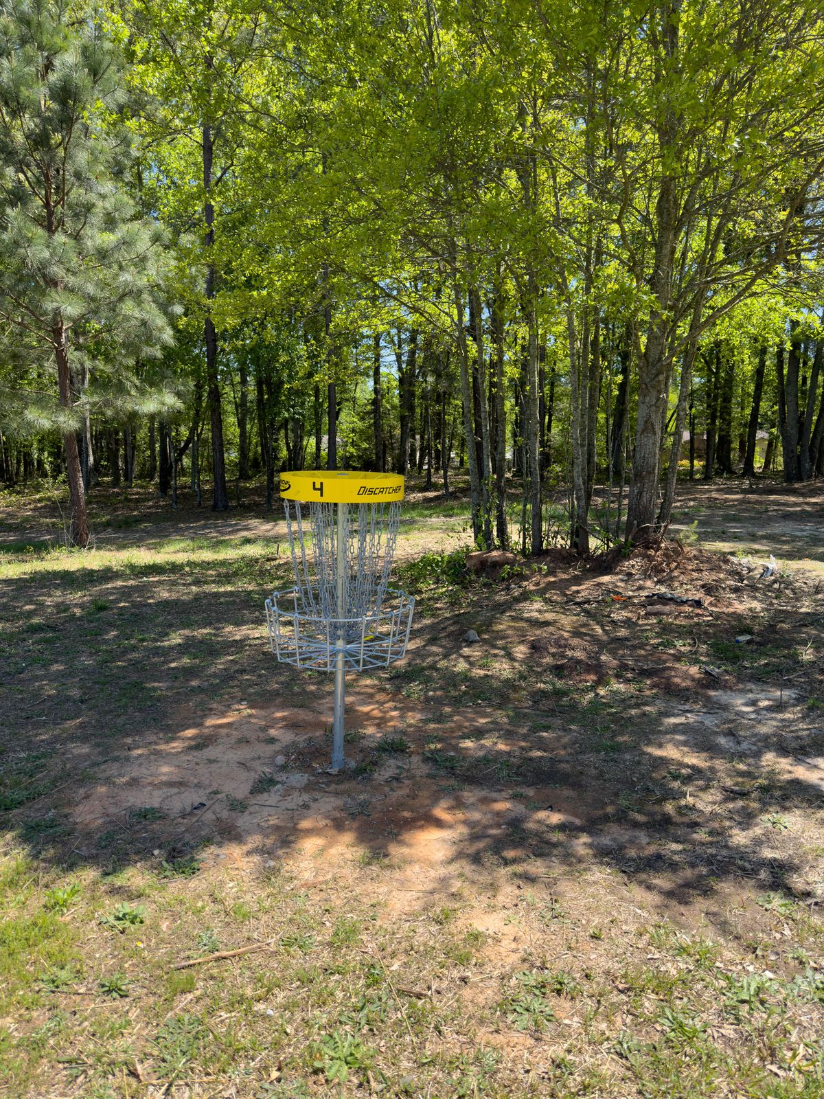 Hole 4 green
