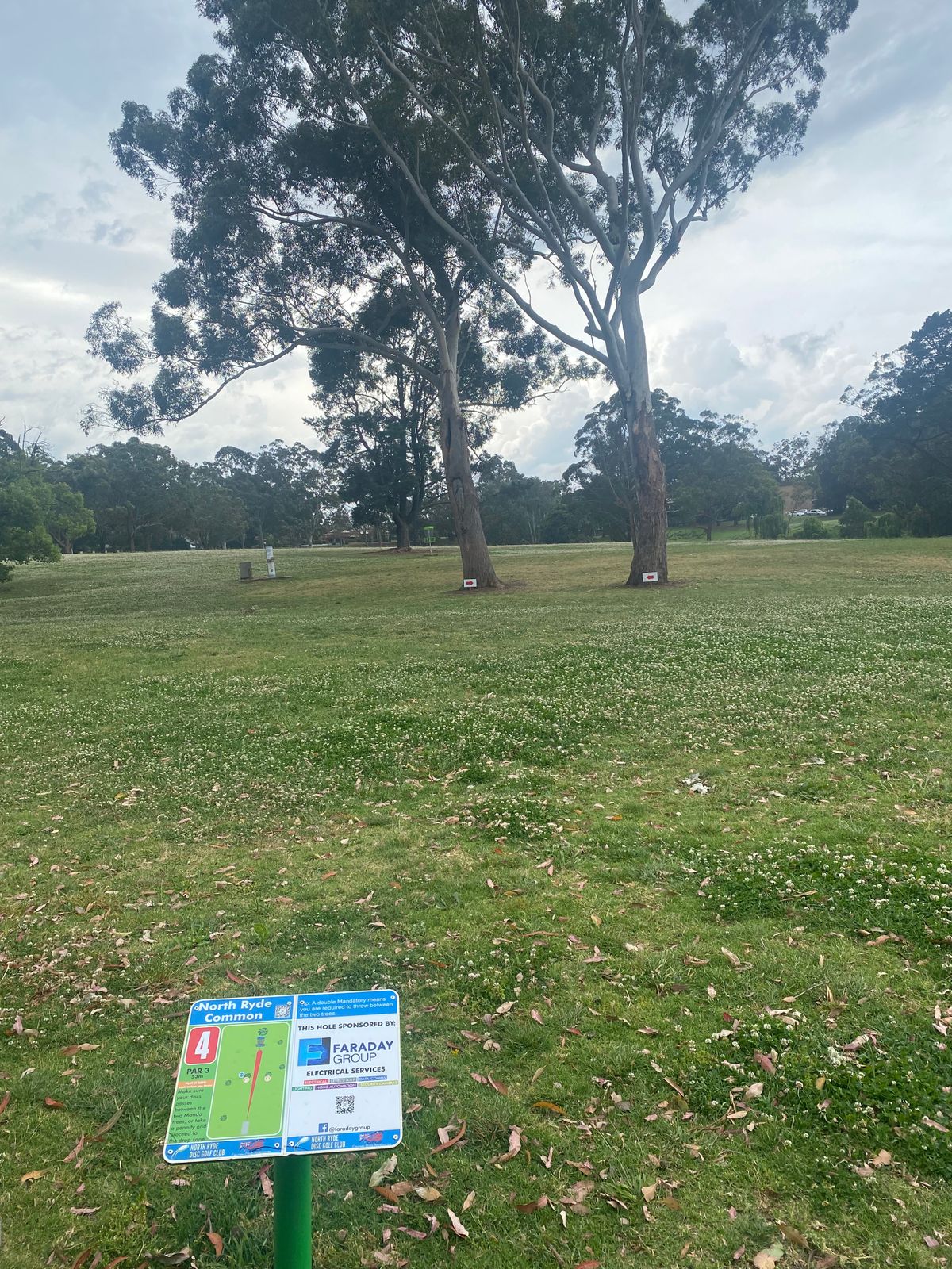 Hole 4 Fairway