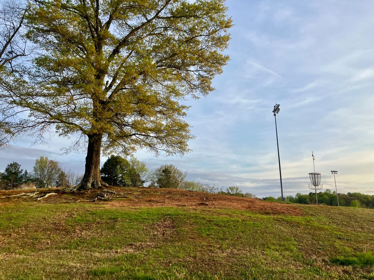 Looking back at Hole 7's basket and fairway