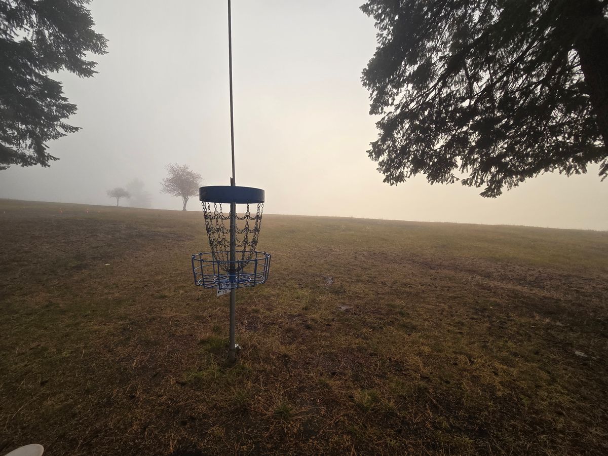 Basket 5. Foggy vibes