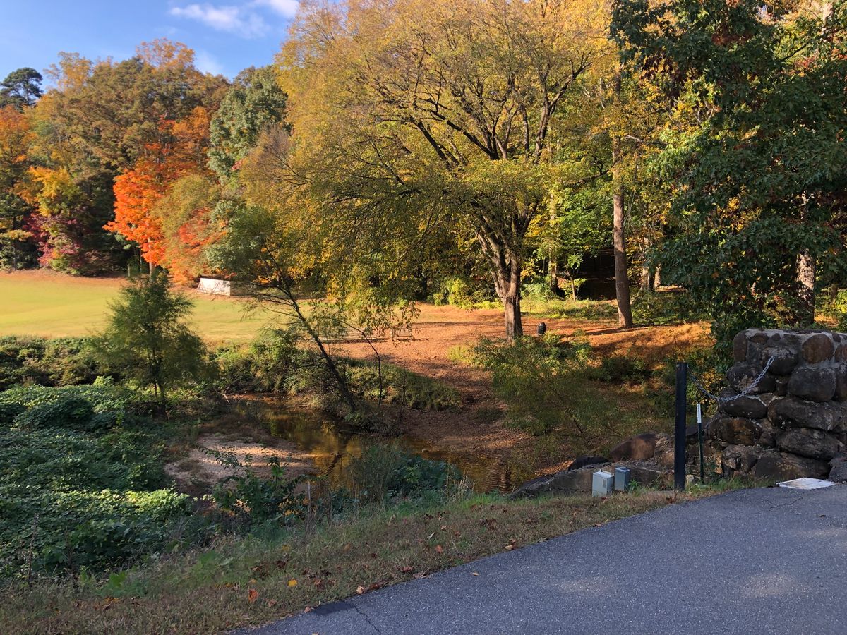 #13 Demon Black. This tee may be unplayable on a busy day. No worries, just play Blue or Gold instead. The Right and Left Fairways play very differently.