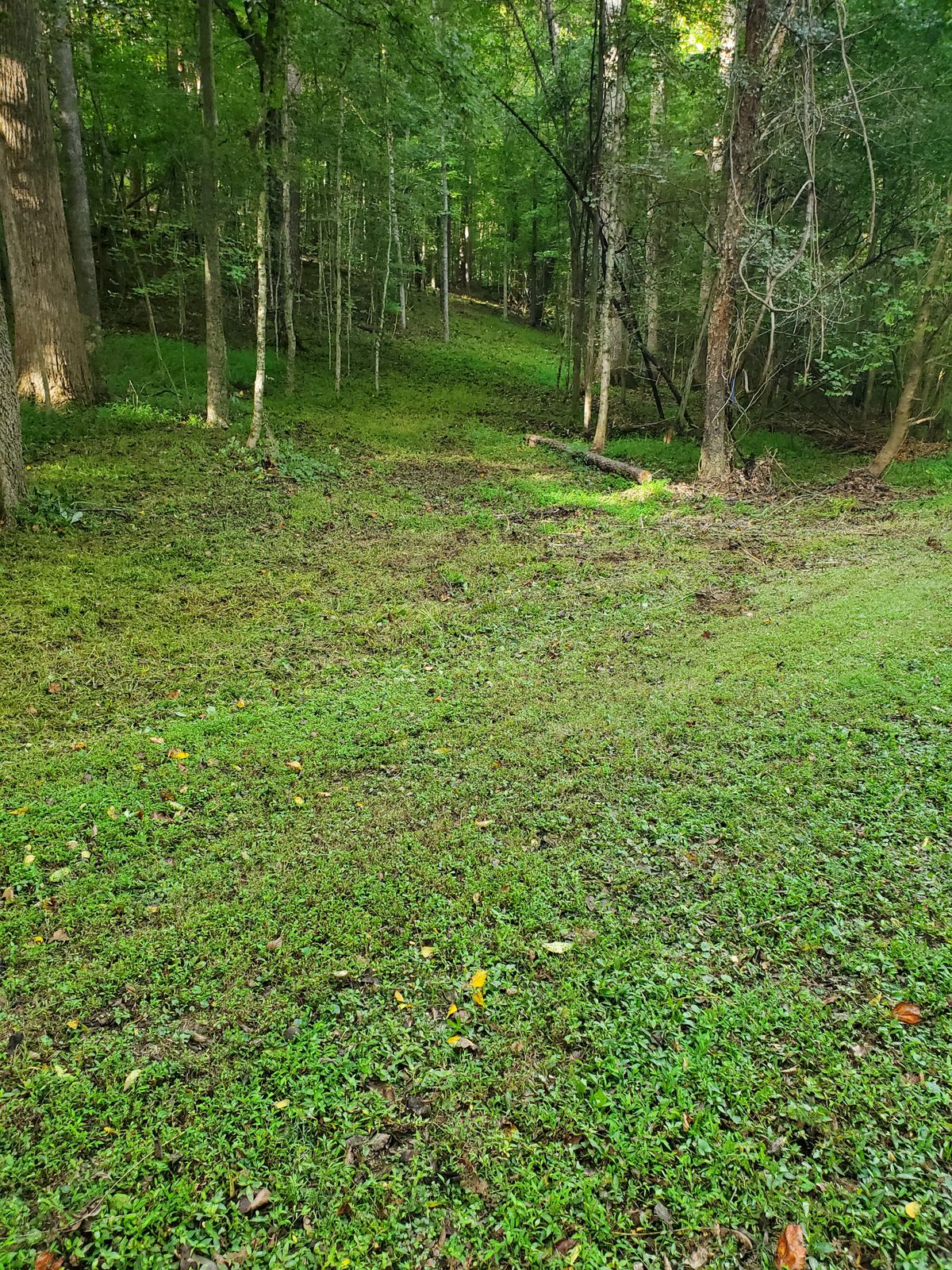 Hole 4 landing zone looking a green