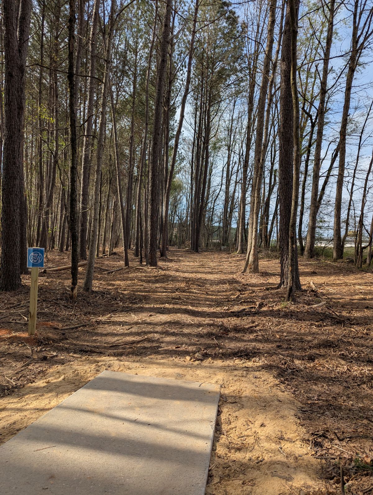 Hole 4