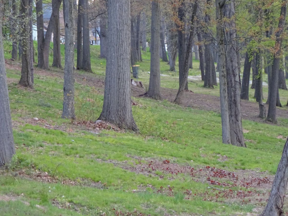 Hole 5 basket