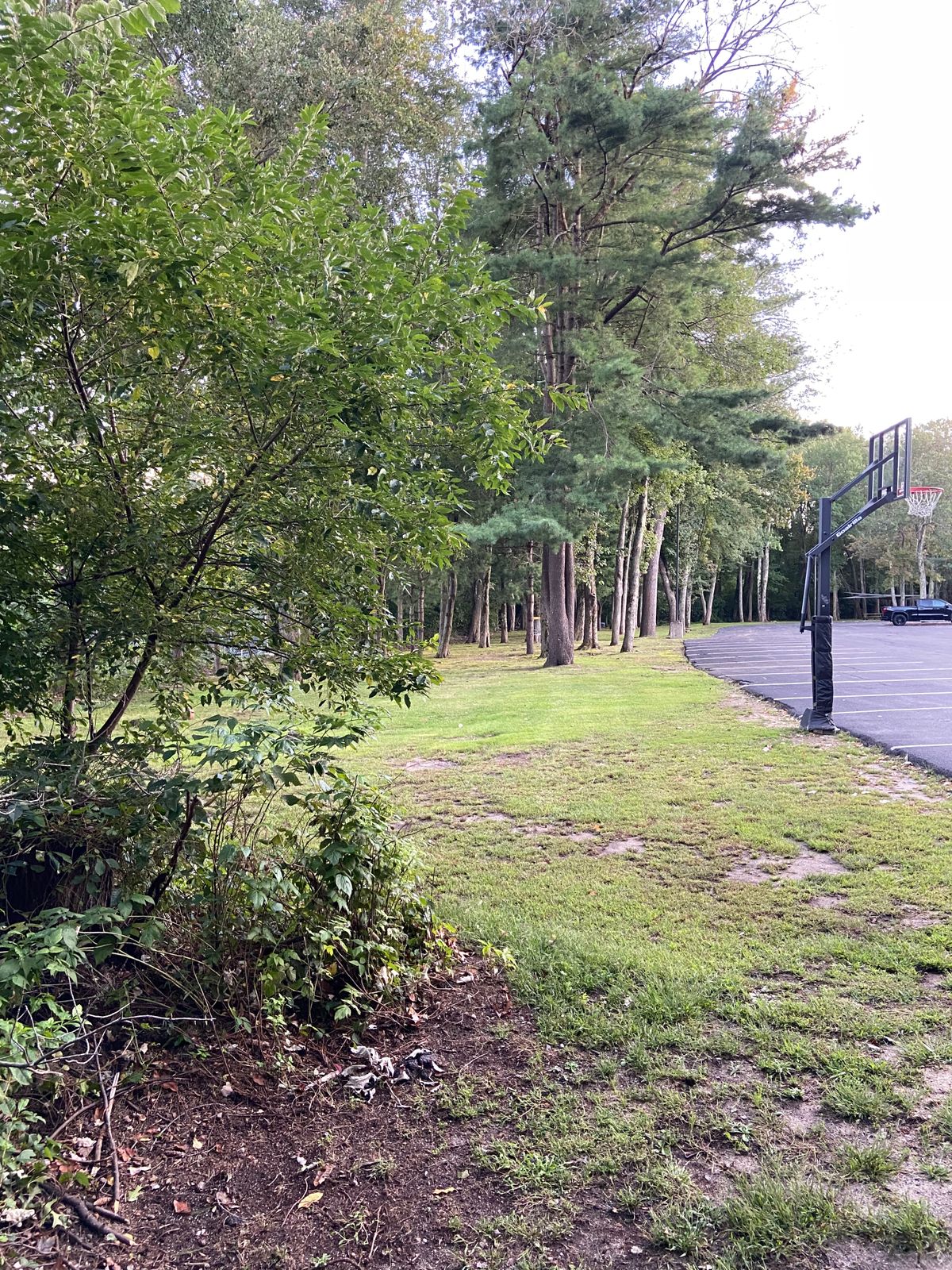 Hole 5