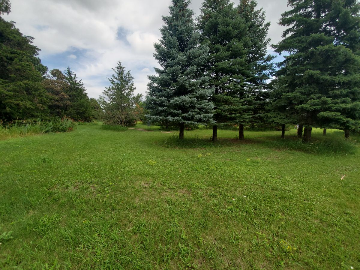 Hole 10 basket