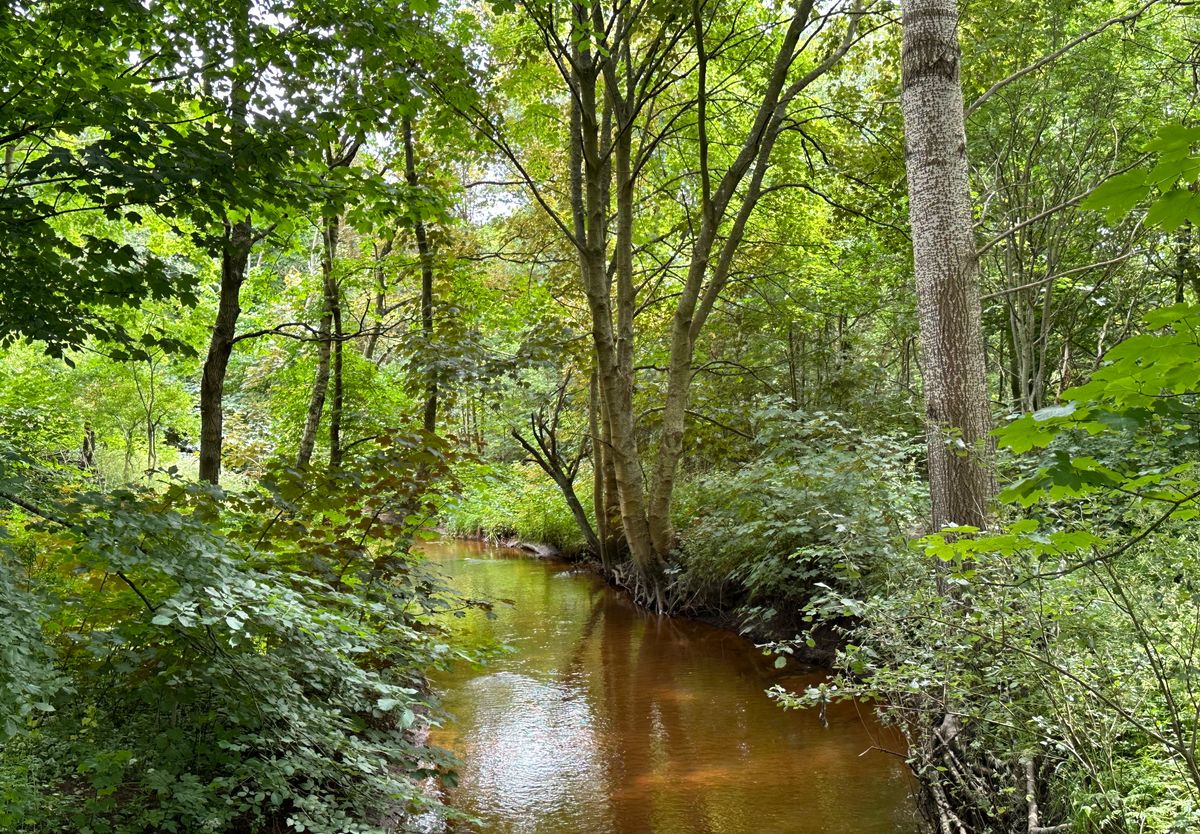 The small brook by hole 5