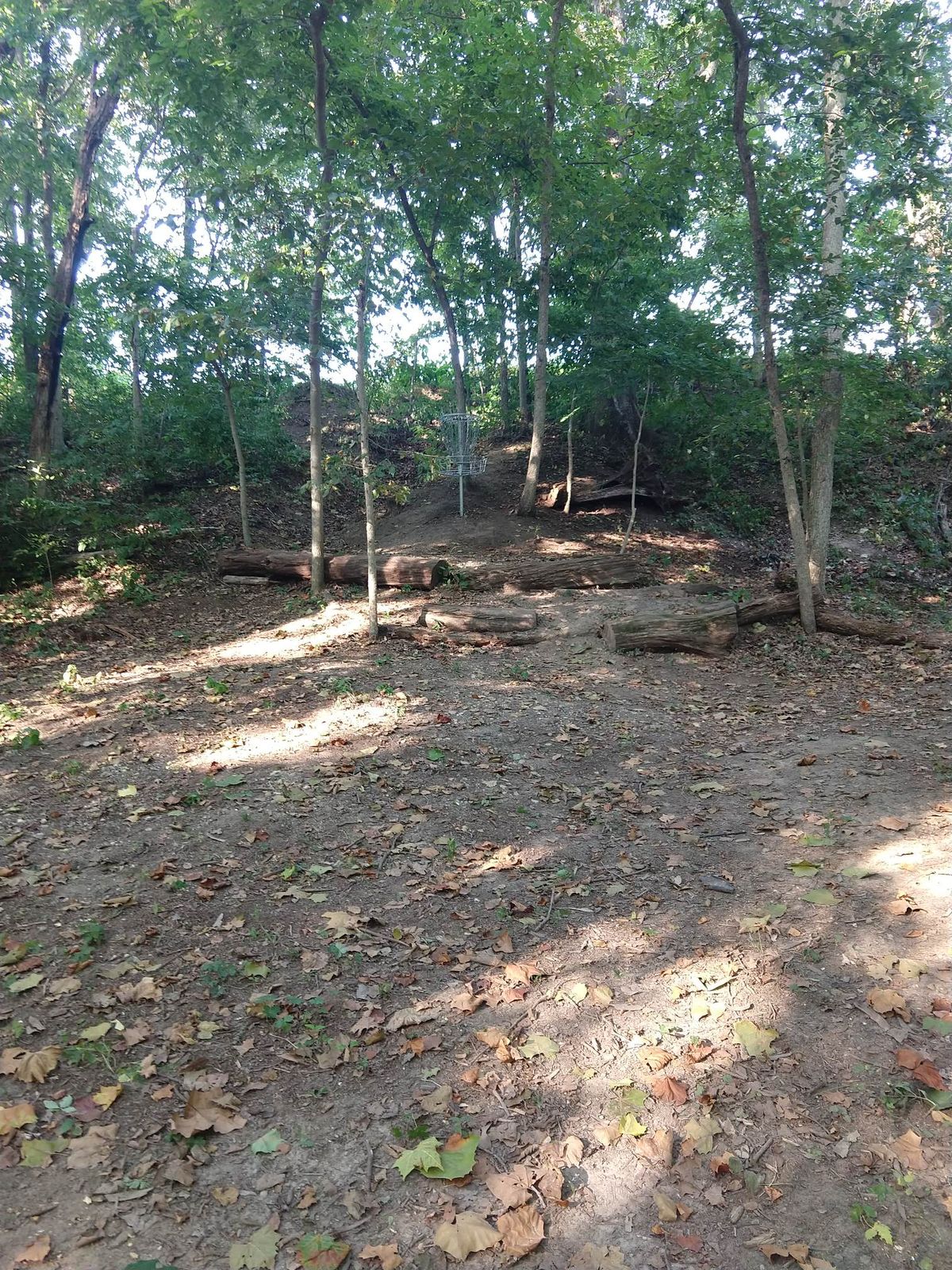 Hole 8