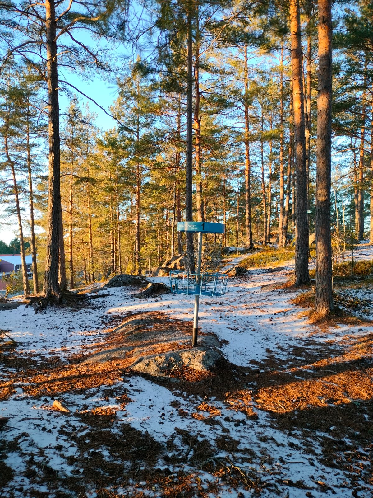 Korg hål 1 | Basket hole 1