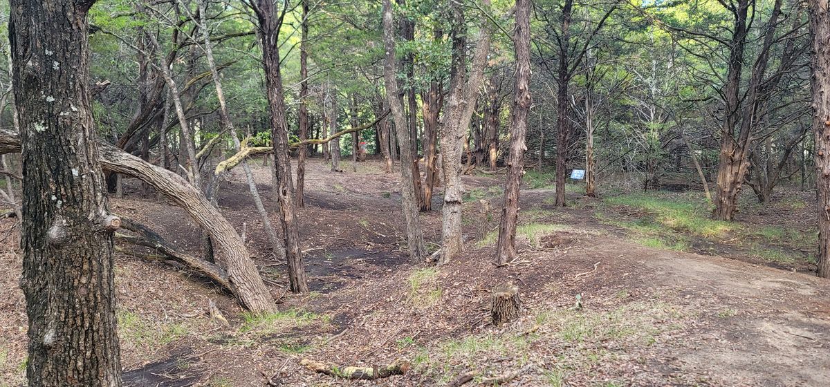 hole 4 fairway