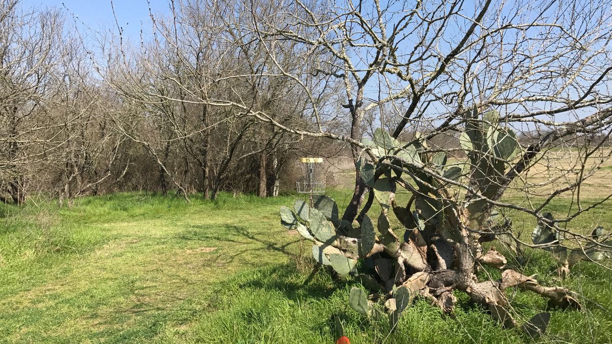 Hole 15