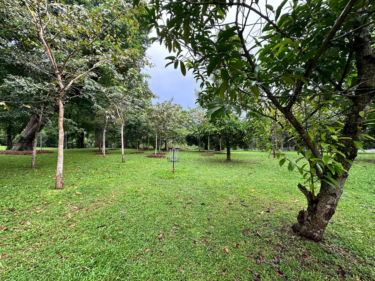 Hole 1 Basket