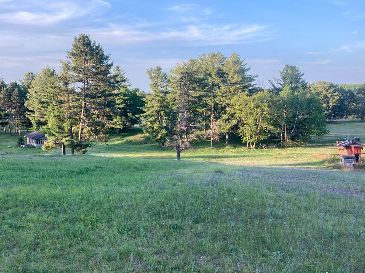 Hole 24 Tee