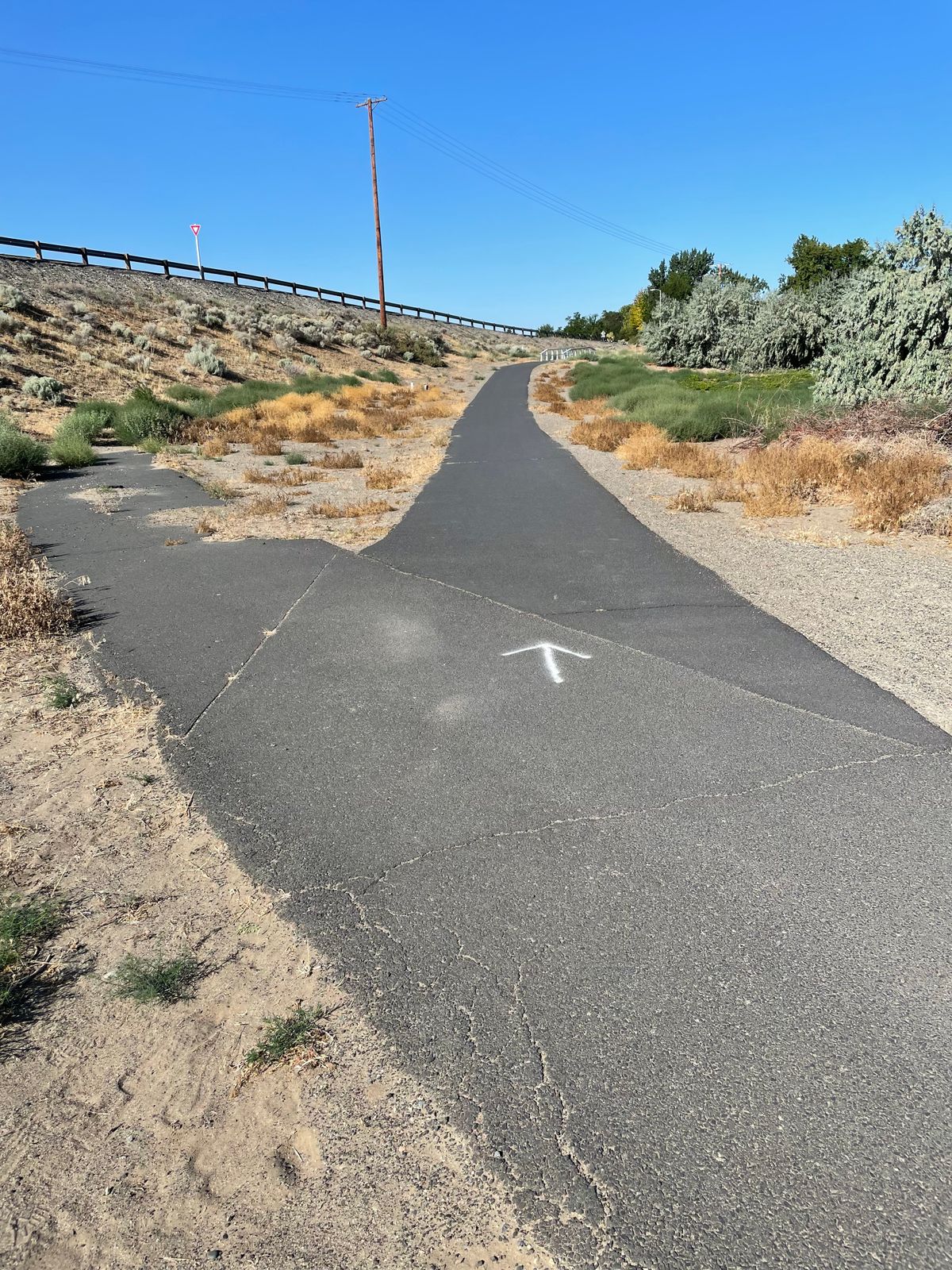 Pathway connecting 10 and 11