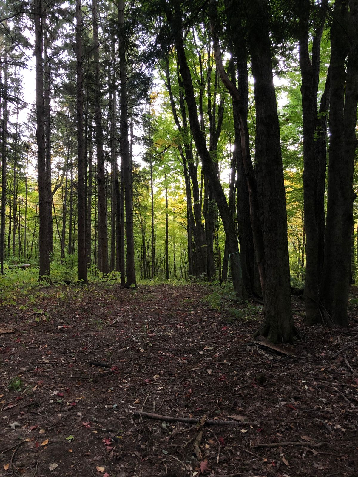 Hole 9