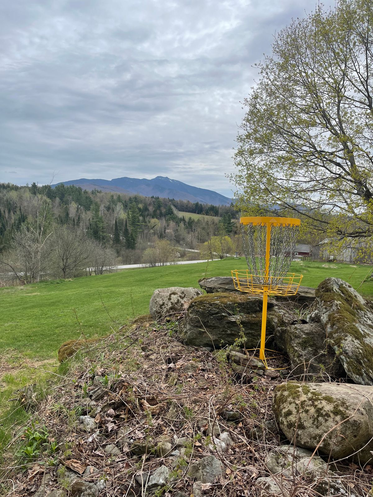 Hole 2 basket placement