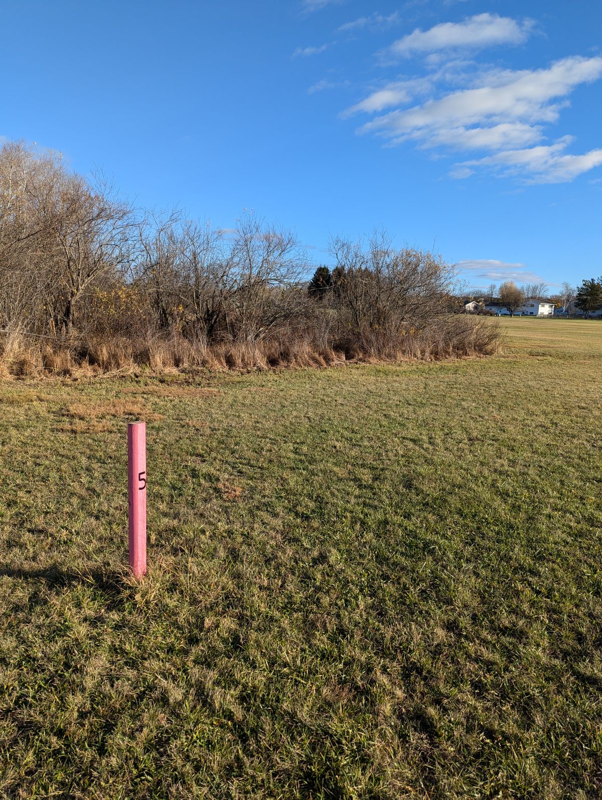 Hole 5 tee box facing basket 5. This is a hard dog leg left around the trees and brush. Could throw over it but risky without a spotter.