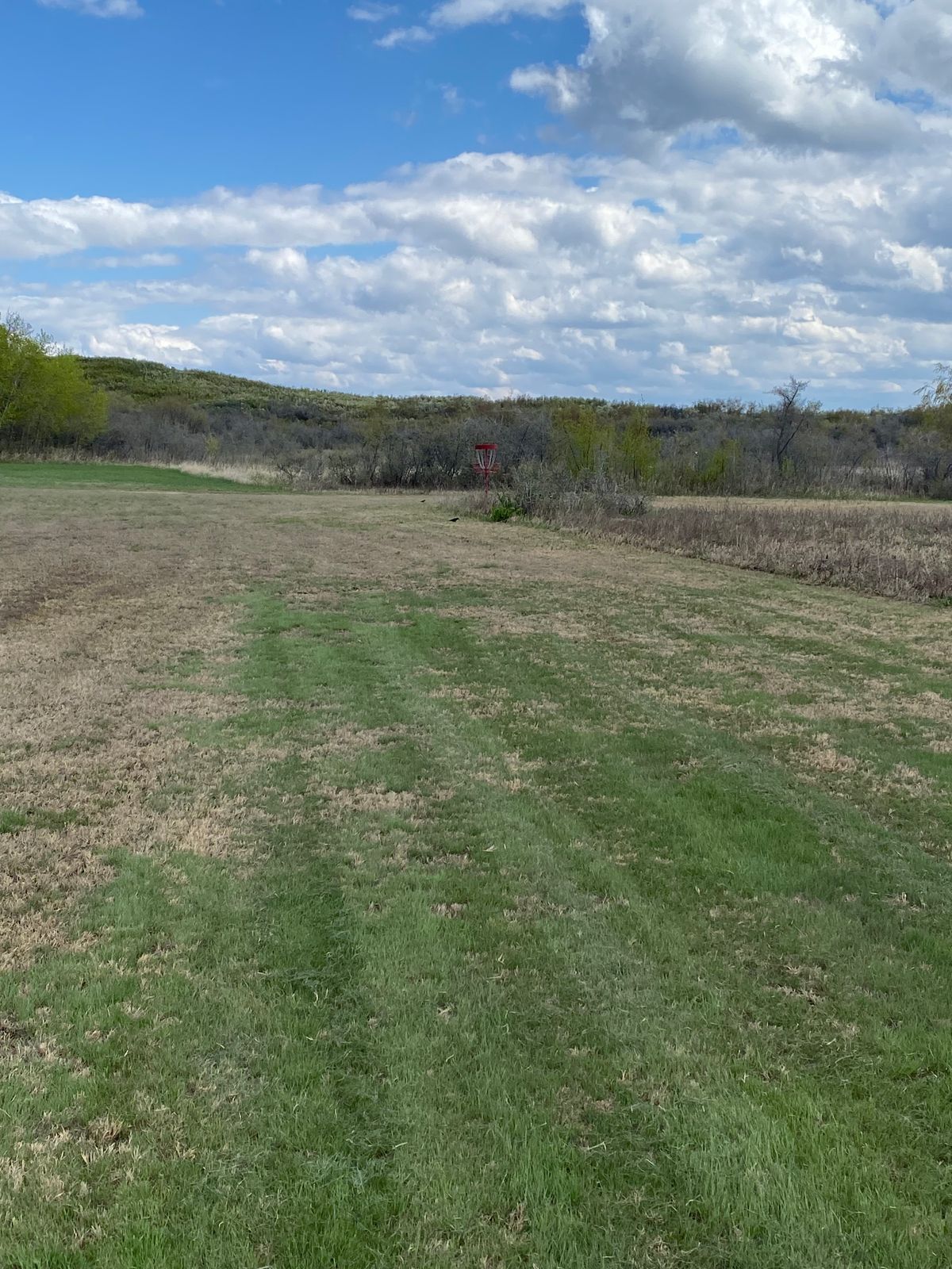Hole 4