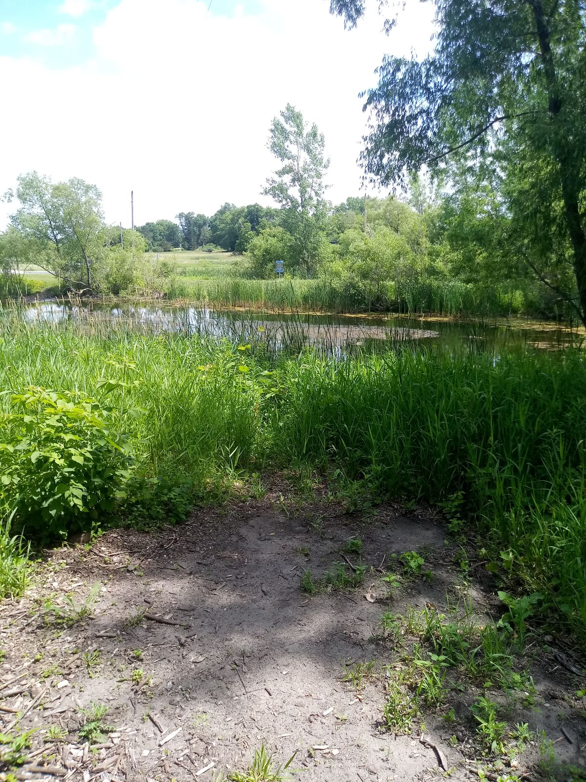 Hole 9