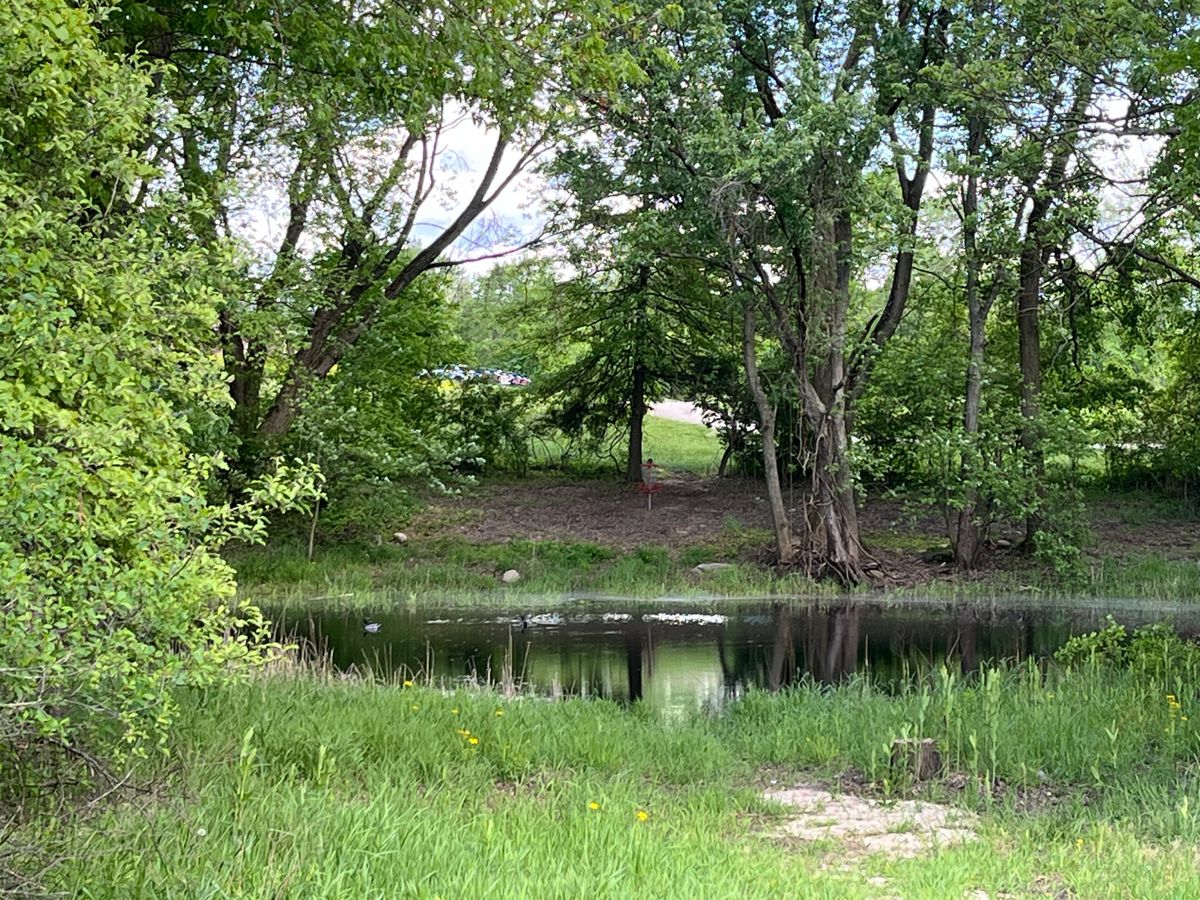 Hole 1 long tee