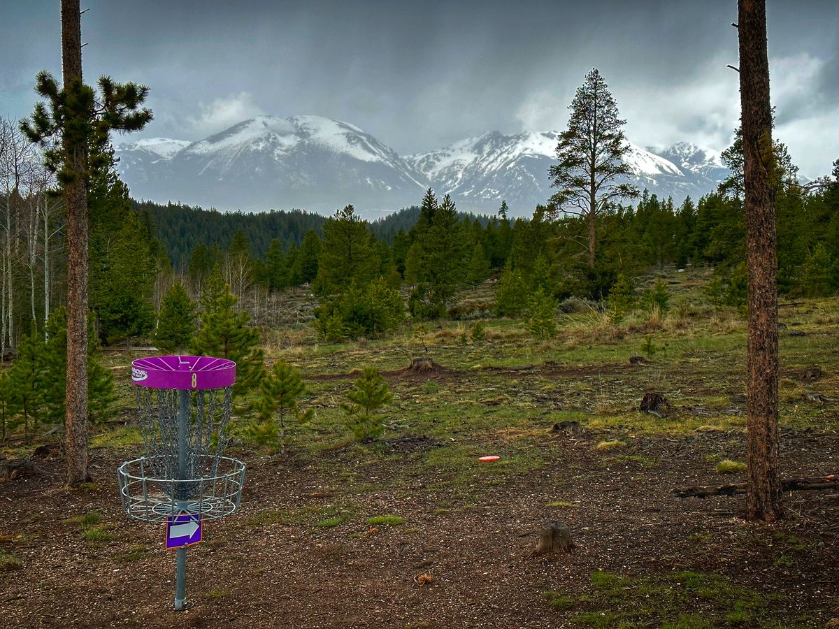 Hole 8 Basket
