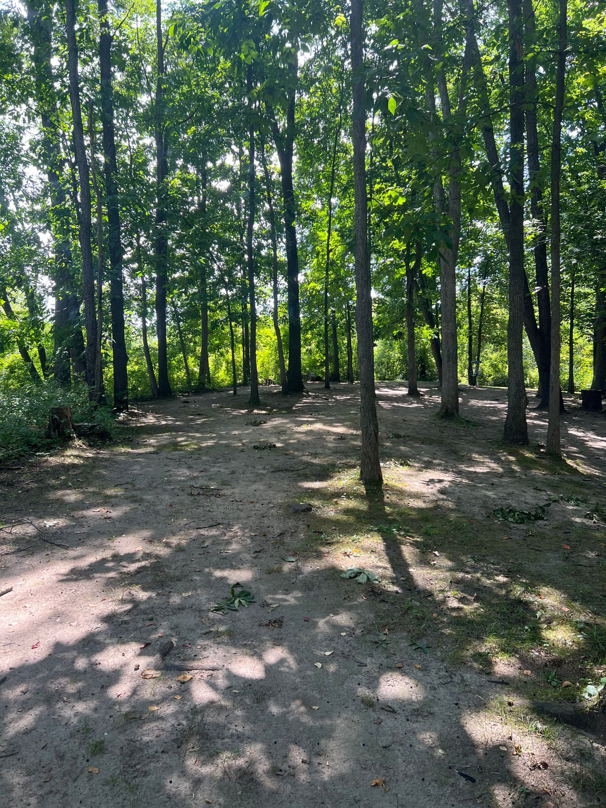 Hole 4 - Short Approach