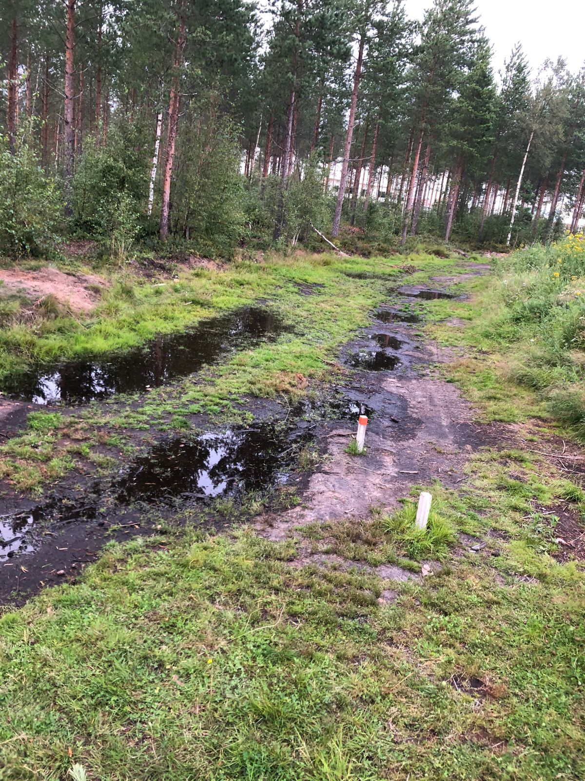 Väylä 1.
