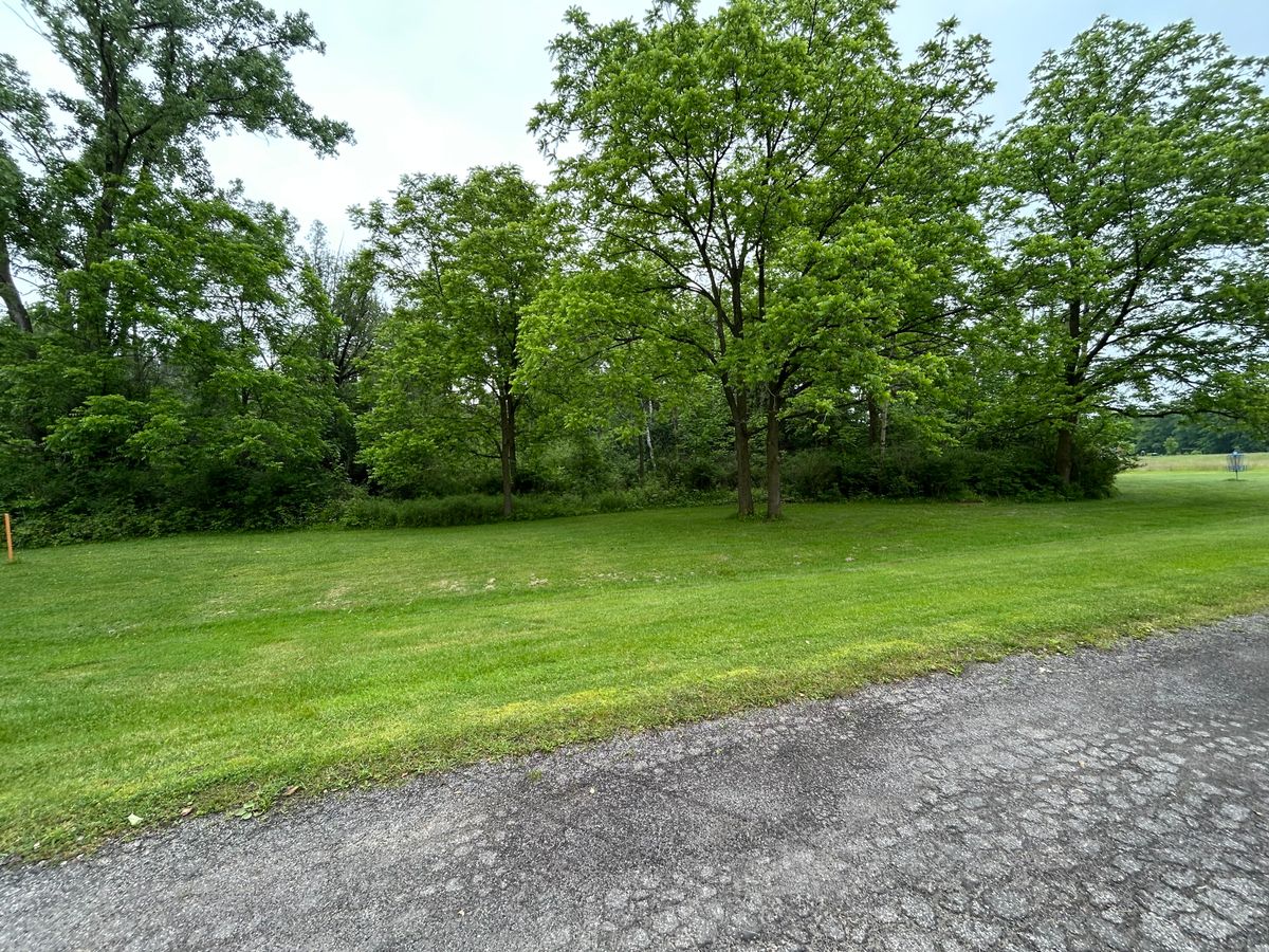 Hole 13 from the side.  Tee to the far left, basket to the far right.