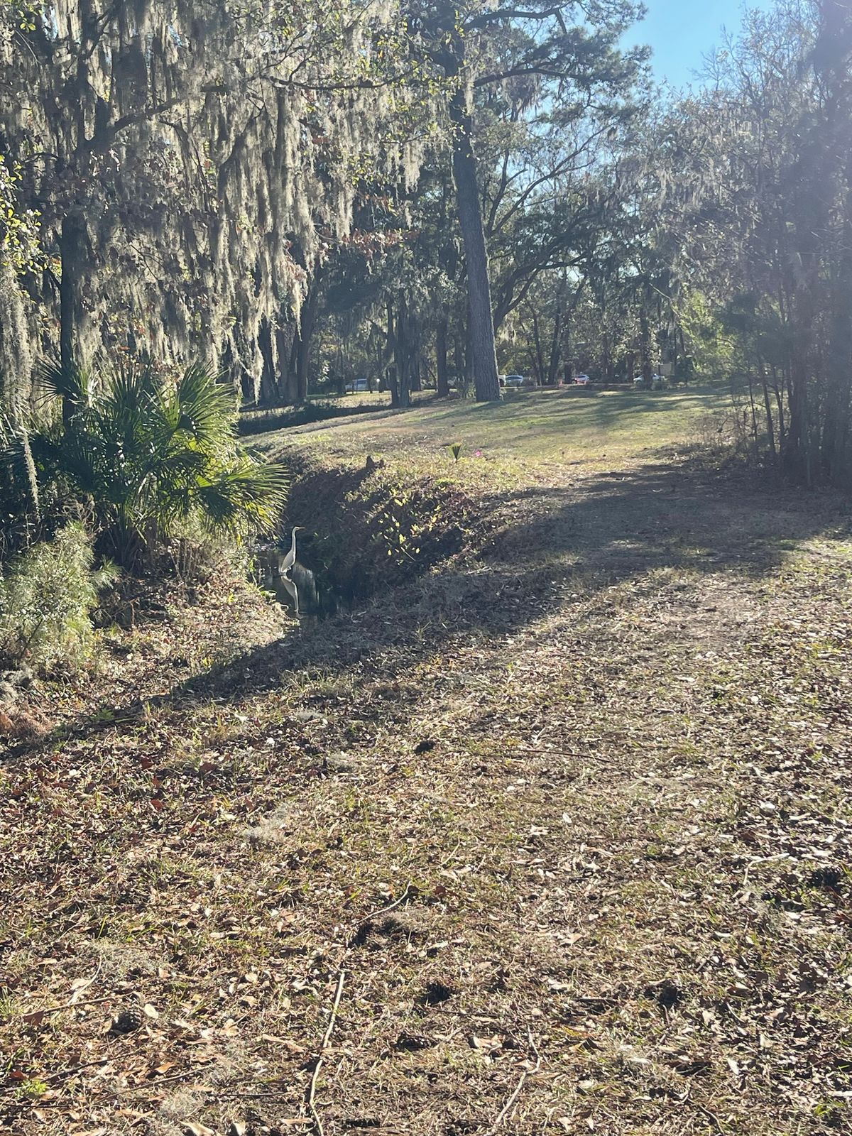 Hole 6